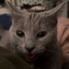Missy photo 3