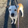 Lucy photo 2