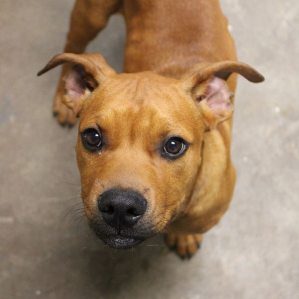 Buster Brown thumbnail 2