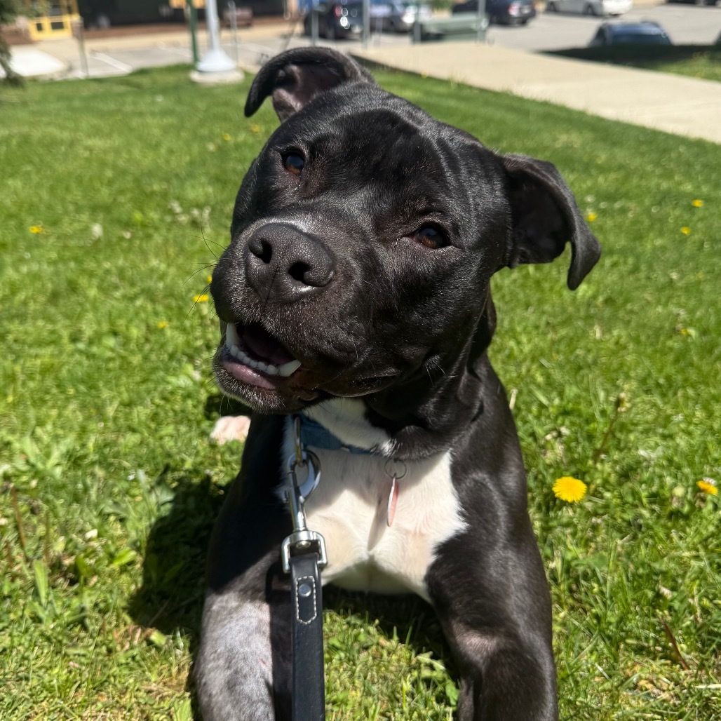 Truman