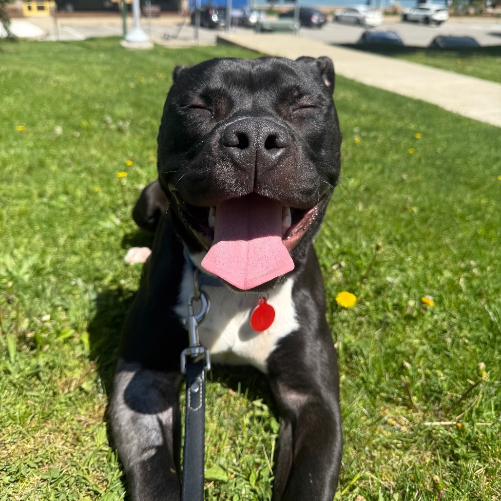 Truman