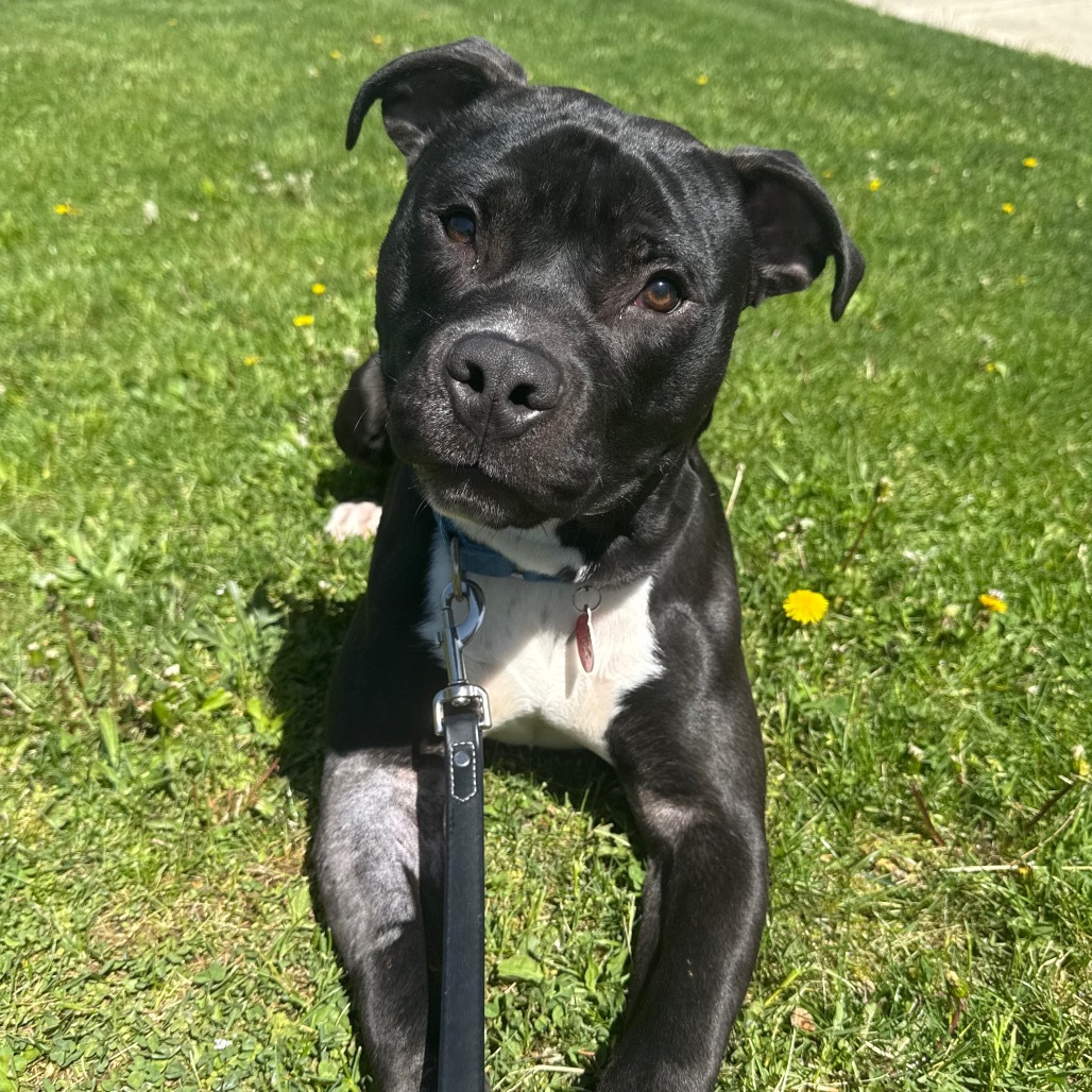Truman