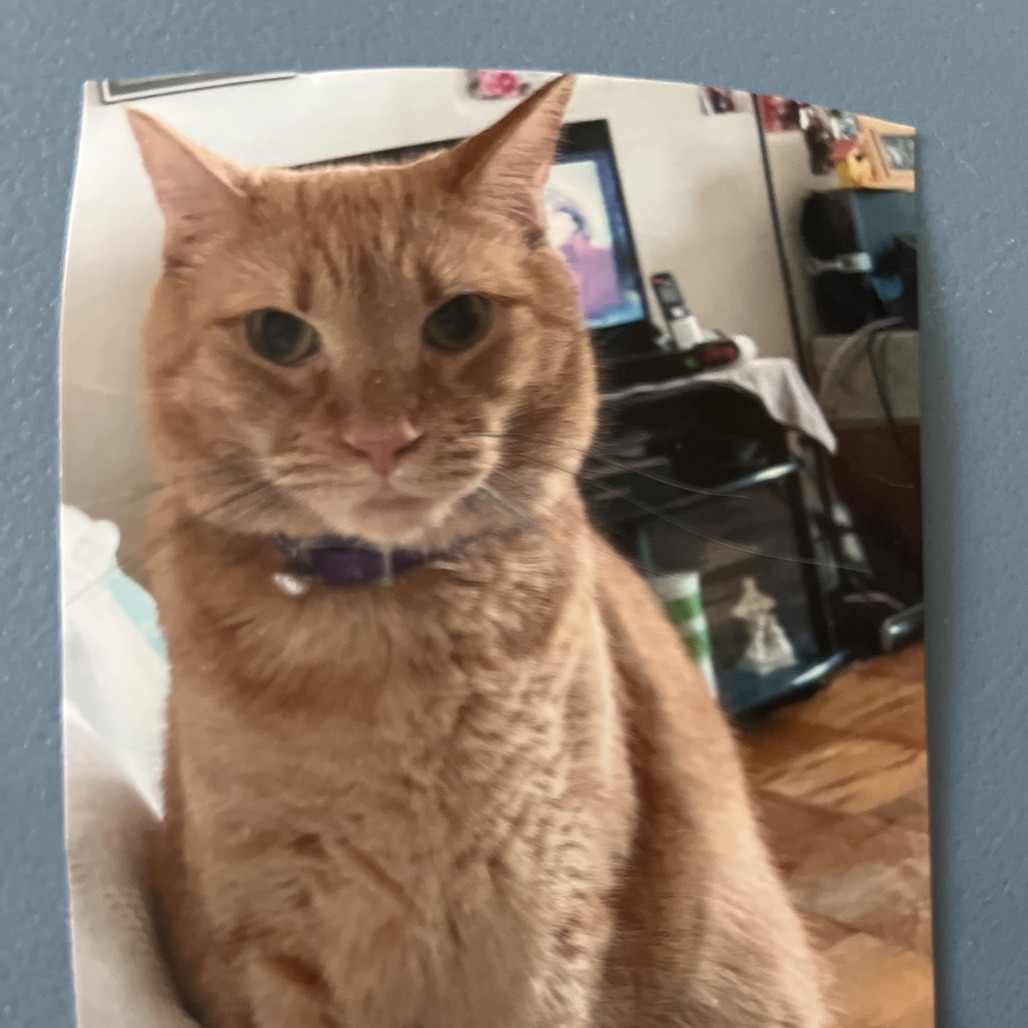 Garfield
