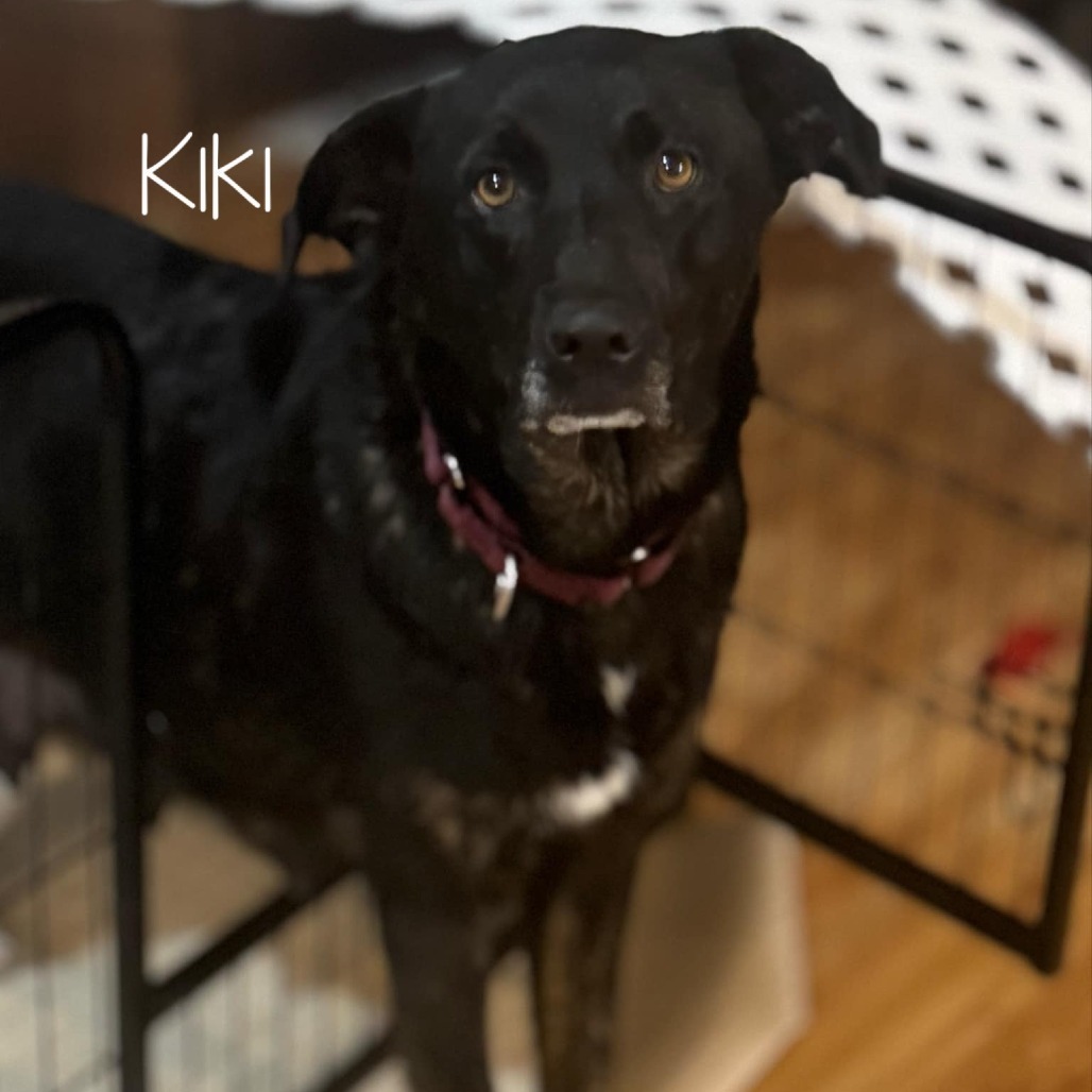 Kiki