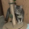 Roxie photo 2