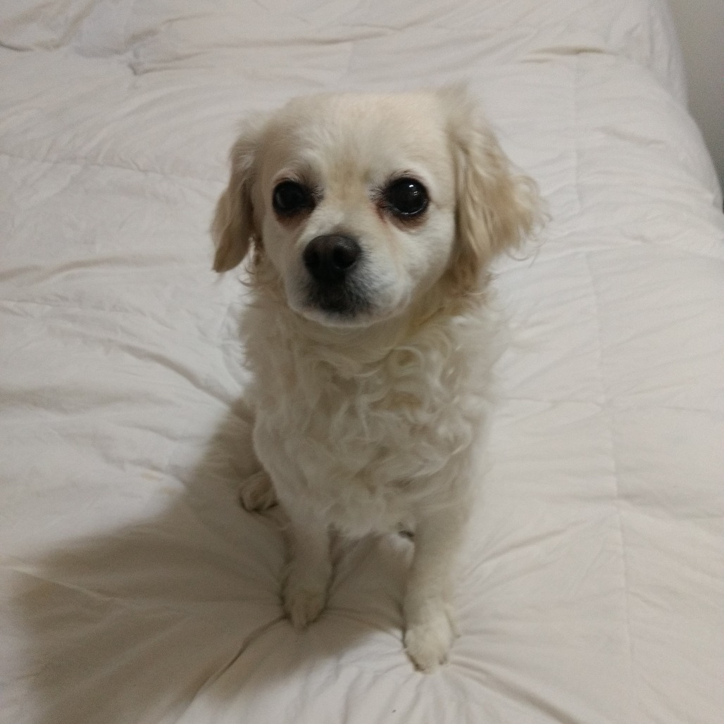 Delilah