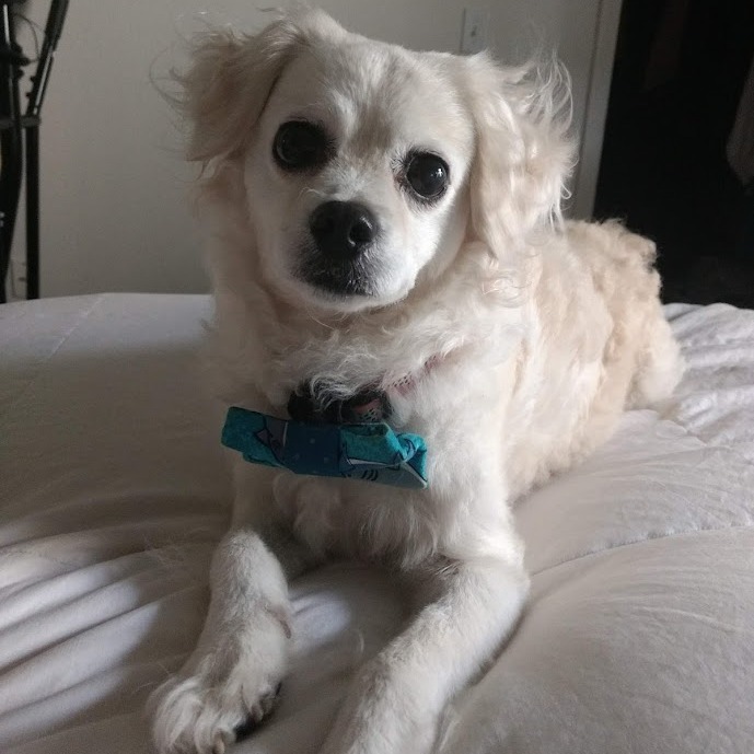 Delilah