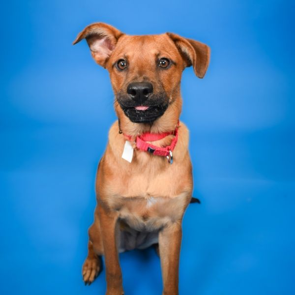 Riley photo 1