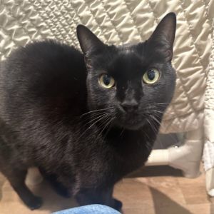 Jackson recently came to us after he lost his home due to building restrictions Hes working on acc