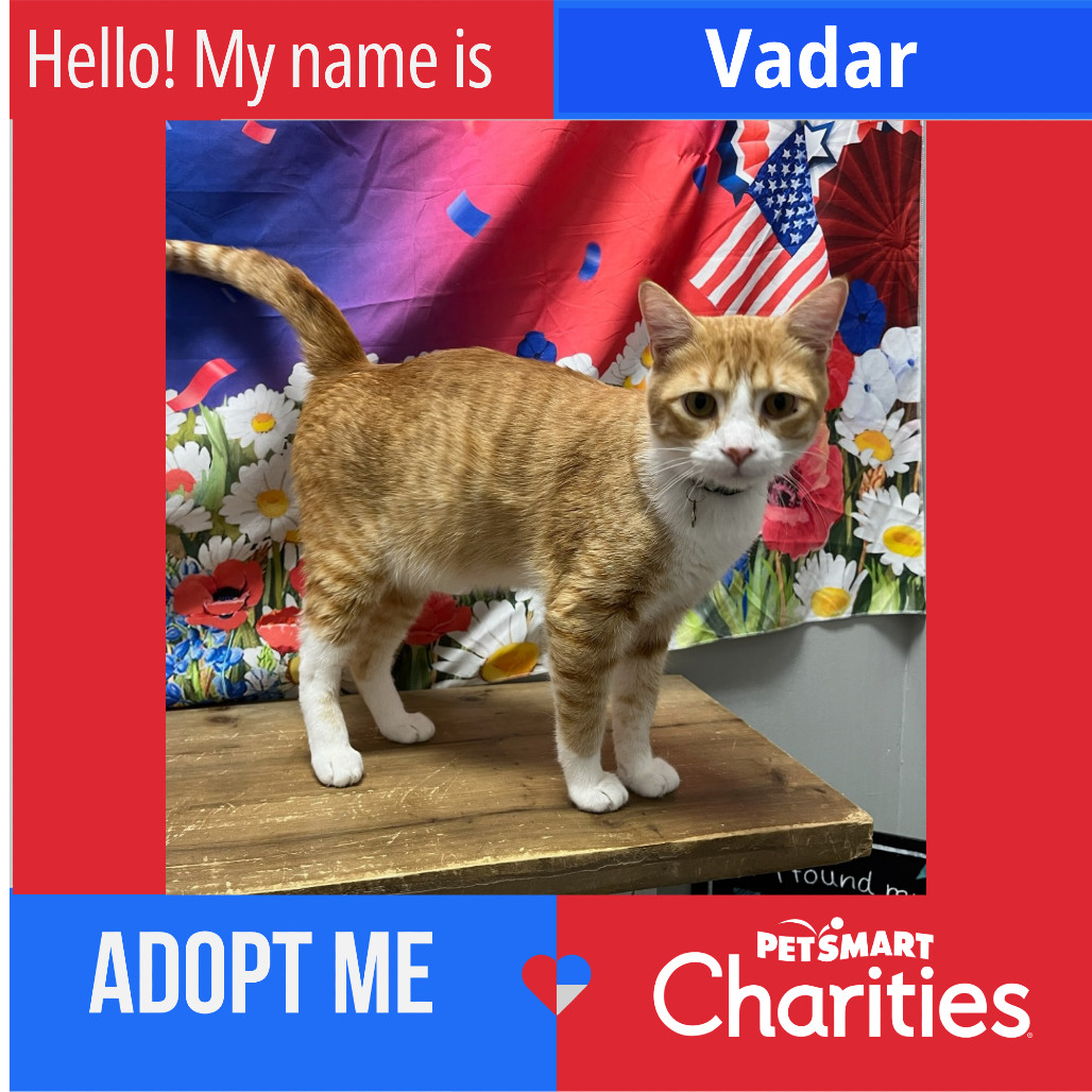 Vadar