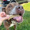 Clyde photo 6