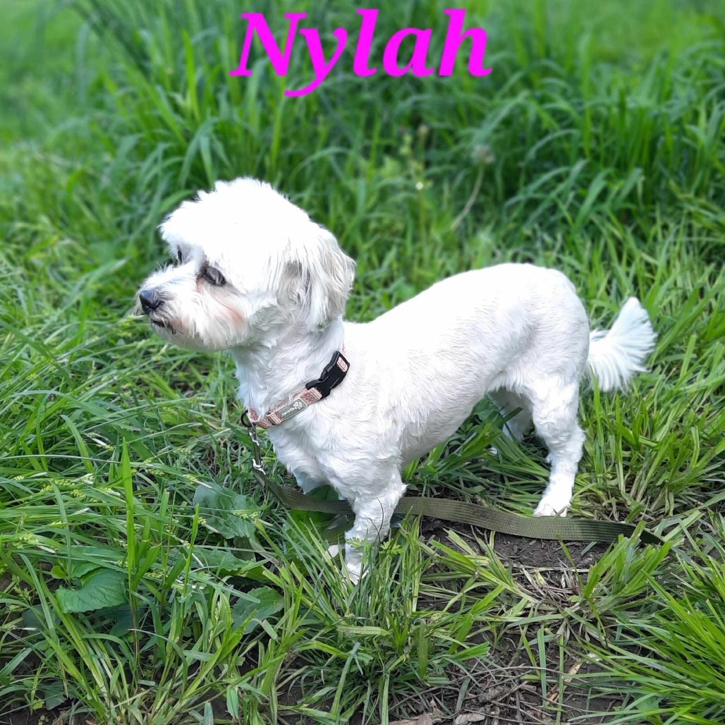 Nylah