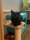 Drusilla photo 2