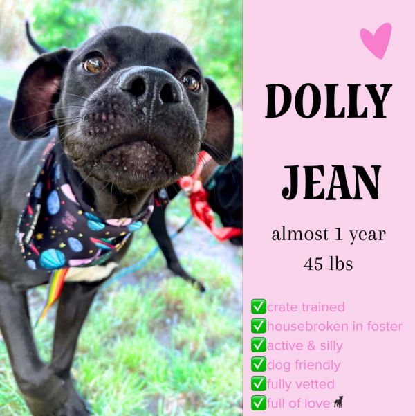 Dolly Jean thumbnail 2