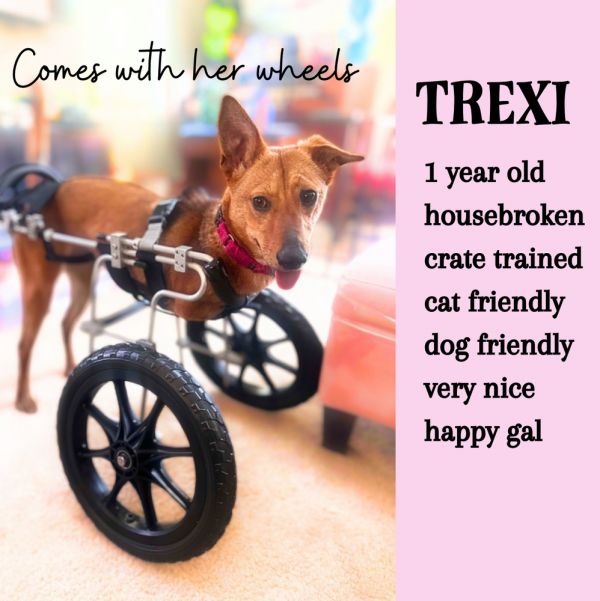Trexi thumbnail 1