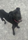 Chalupa photo 3