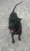 Chalupa photo 5