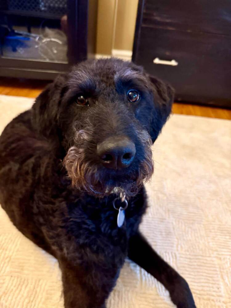 Lucy