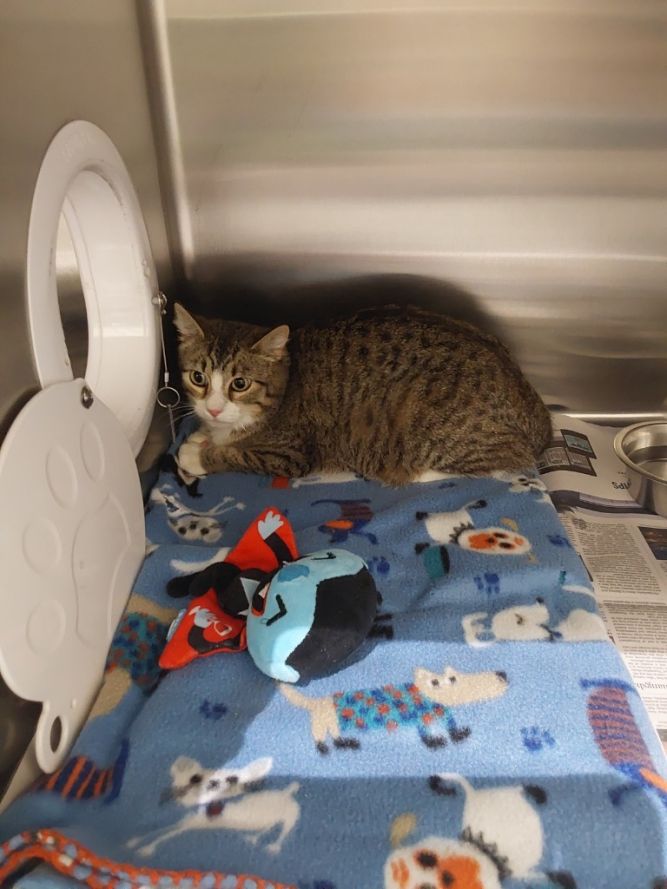 2025-05-008 *Beverly*