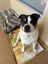 Otis photo 4