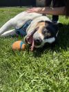 Otis photo 5