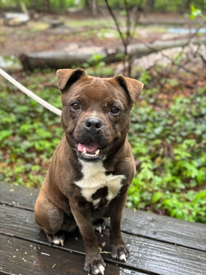 Rosie