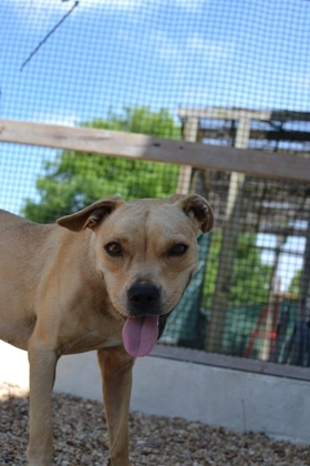 Hi Im Remy I might be a bit timid when we first meet but give me a little time and