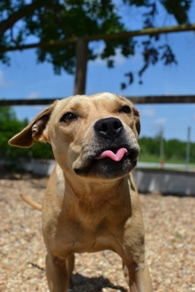 Remy (in Foster) 2