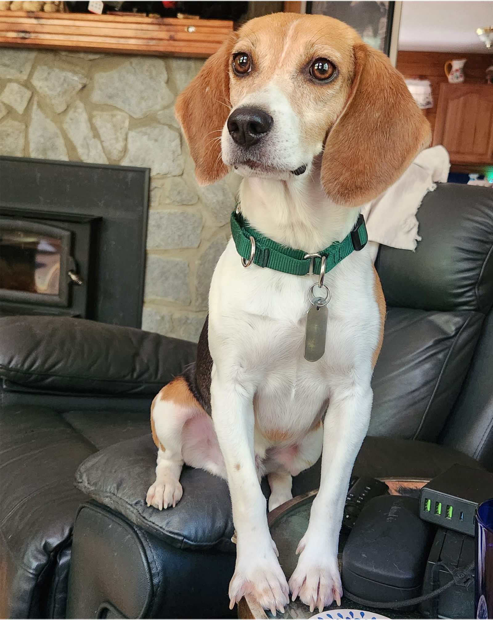 Beau