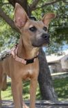 Tiana photo 3