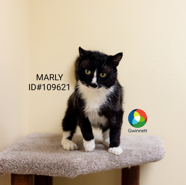 Sx Marly