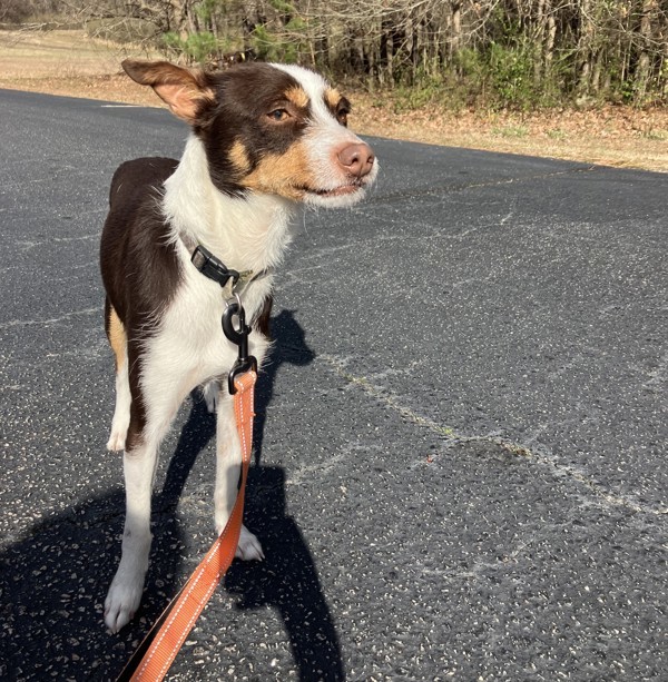 Tucker 2