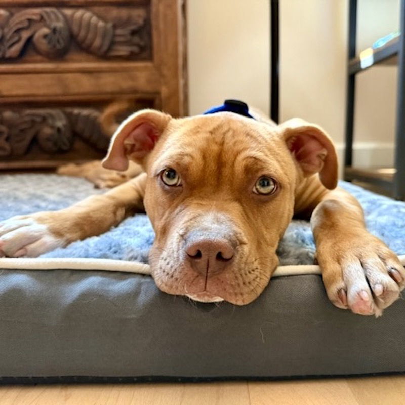 Max