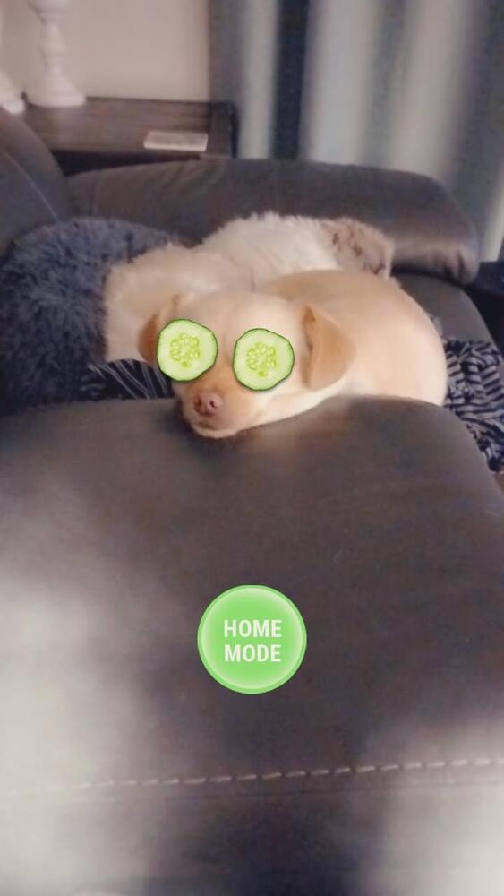 Stella thumbnail 4
