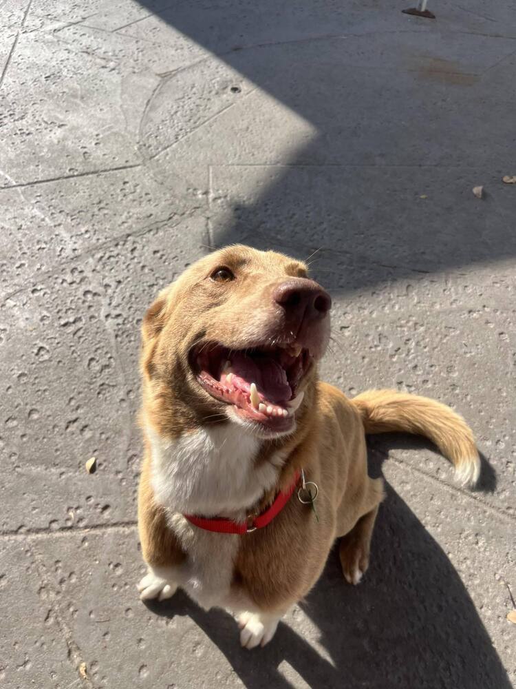 Charlie