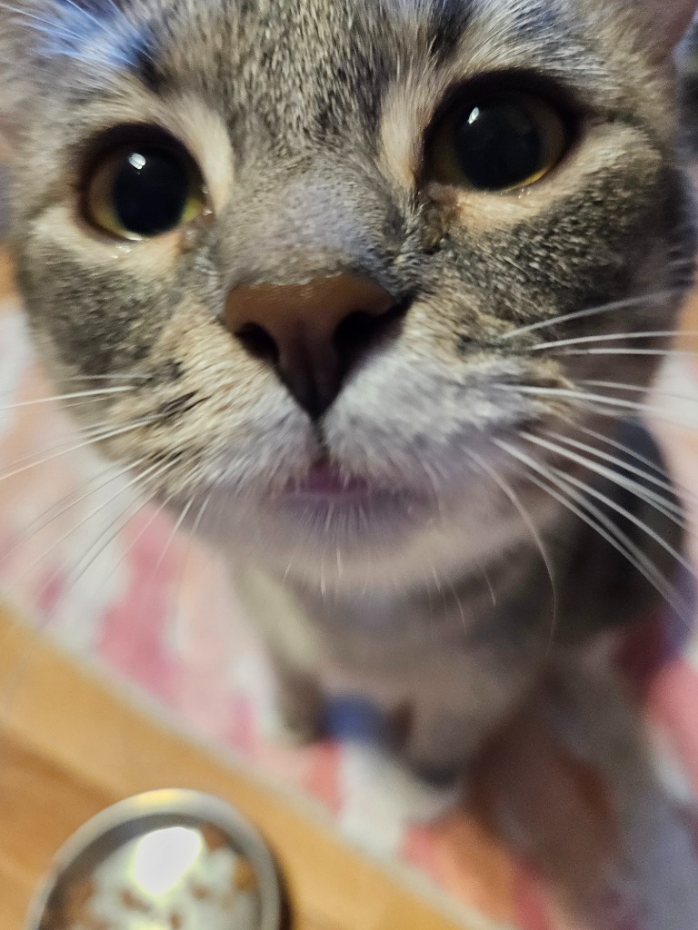 Sienna