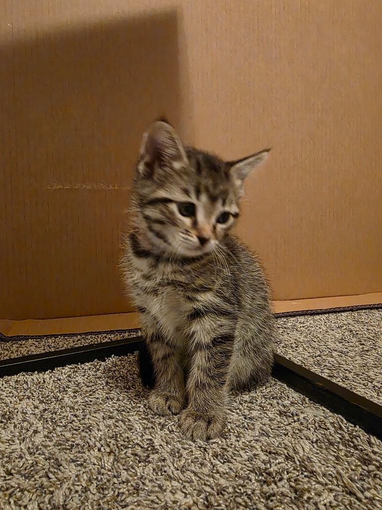 Wanda