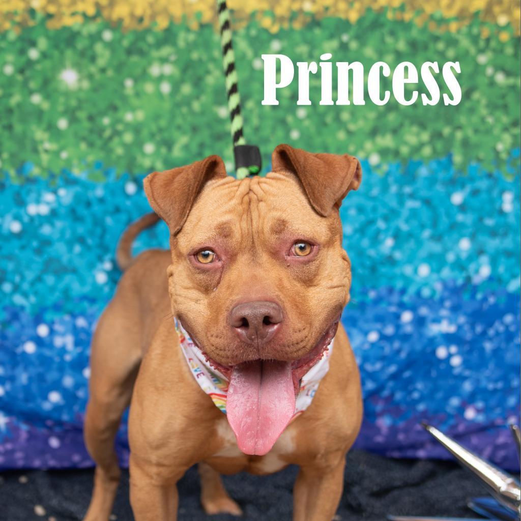 Princess