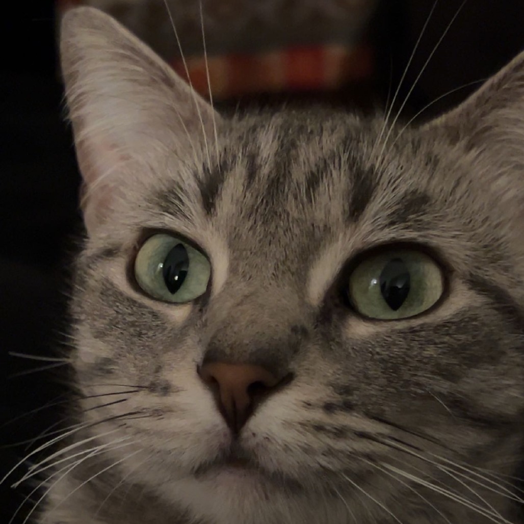 Iggy