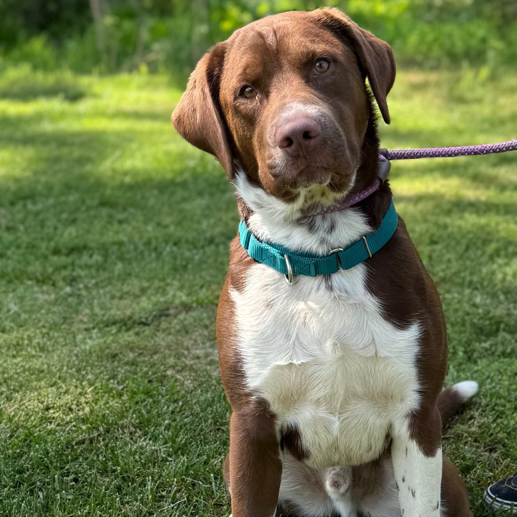 Ruger