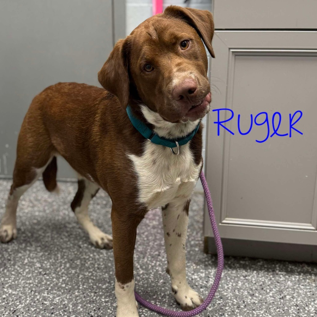 Ruger