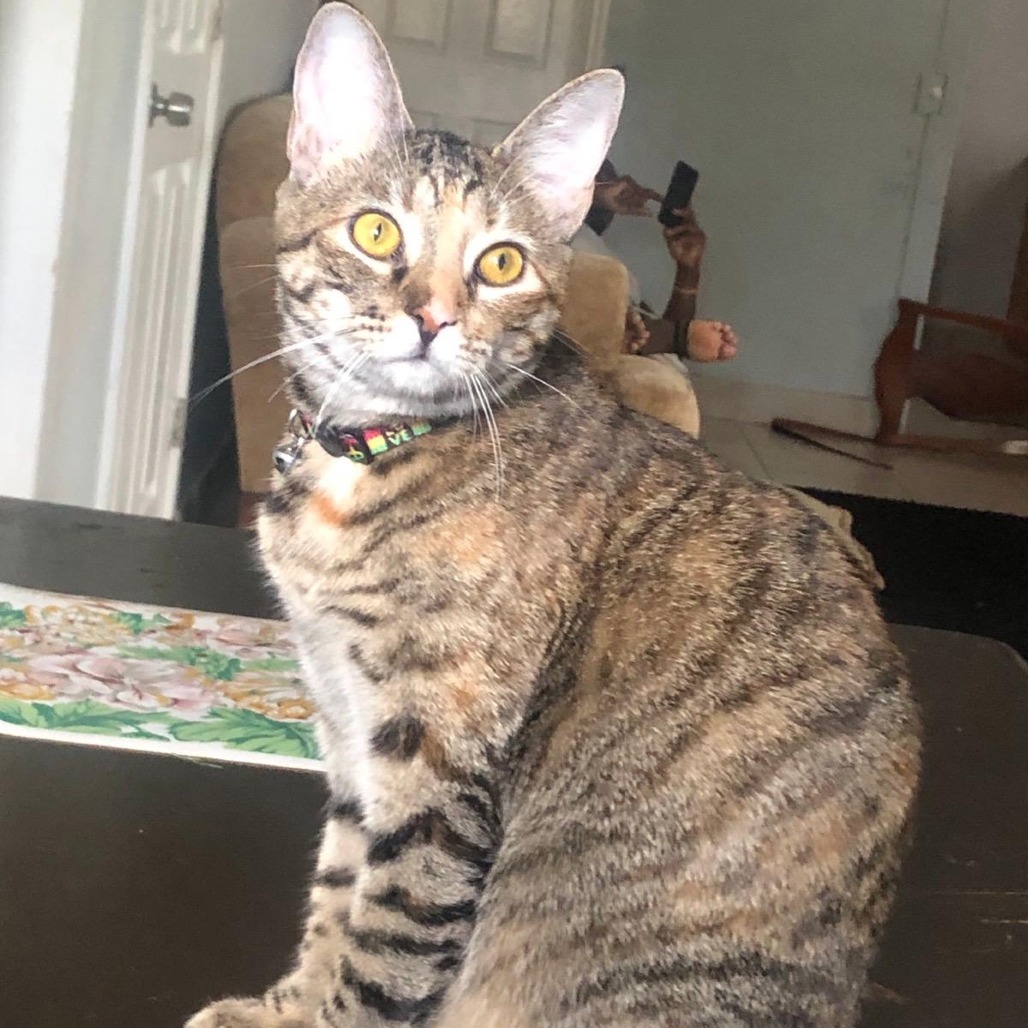 Freya