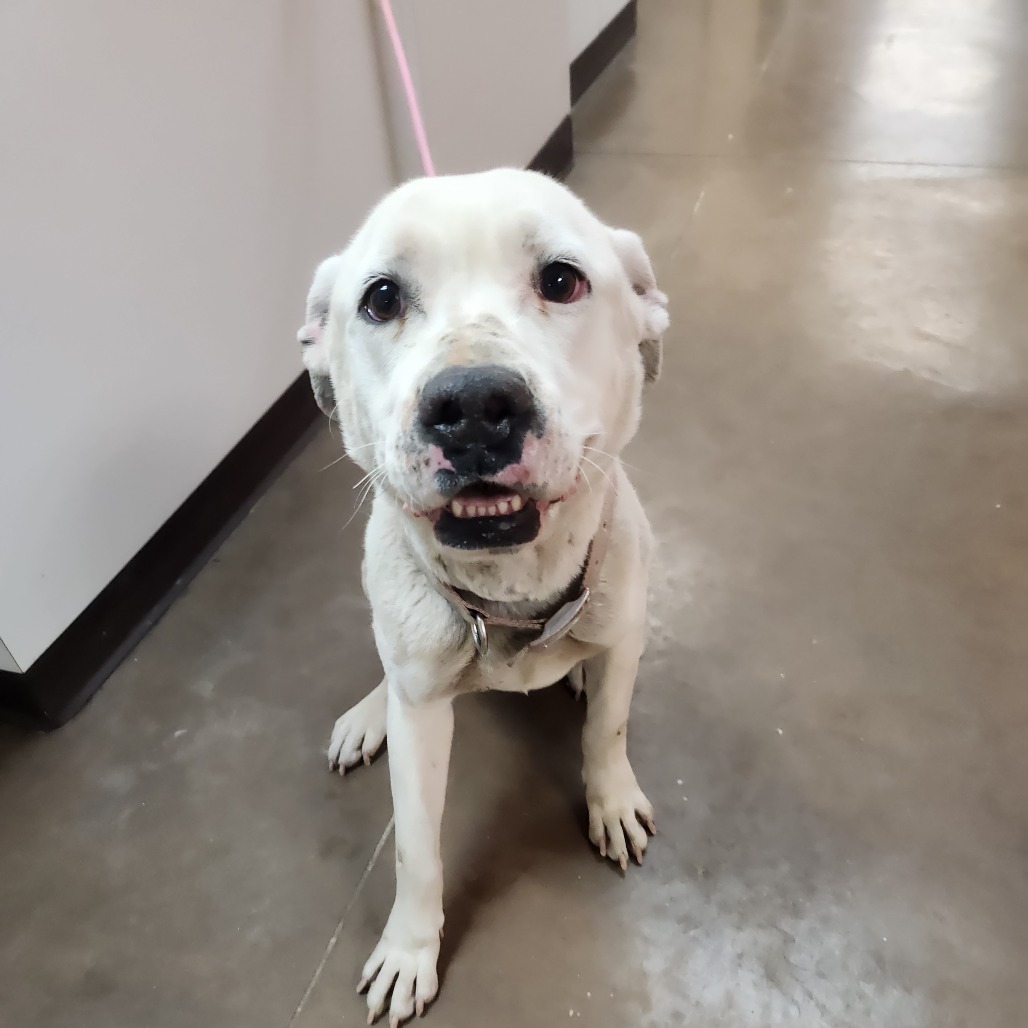 Brennan - Handsome Boy & Loves People