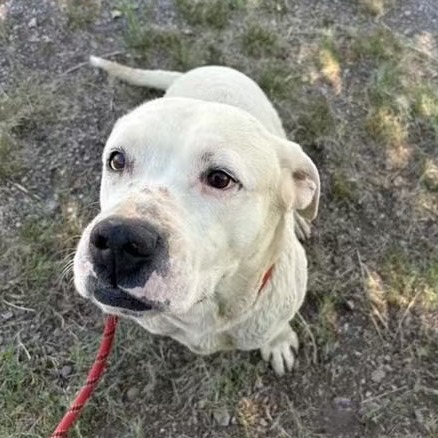 Brennan - Handsome Boy & Loves People