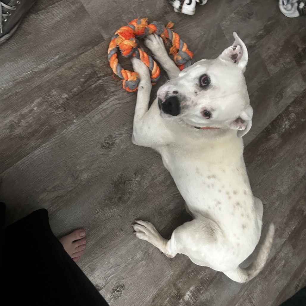 Brennan - Handsome Boy & Loves People