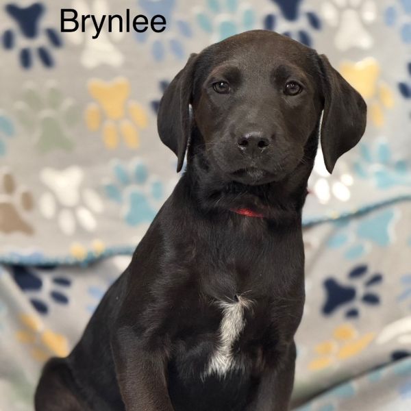 Brynlee(red) thumbnail 2