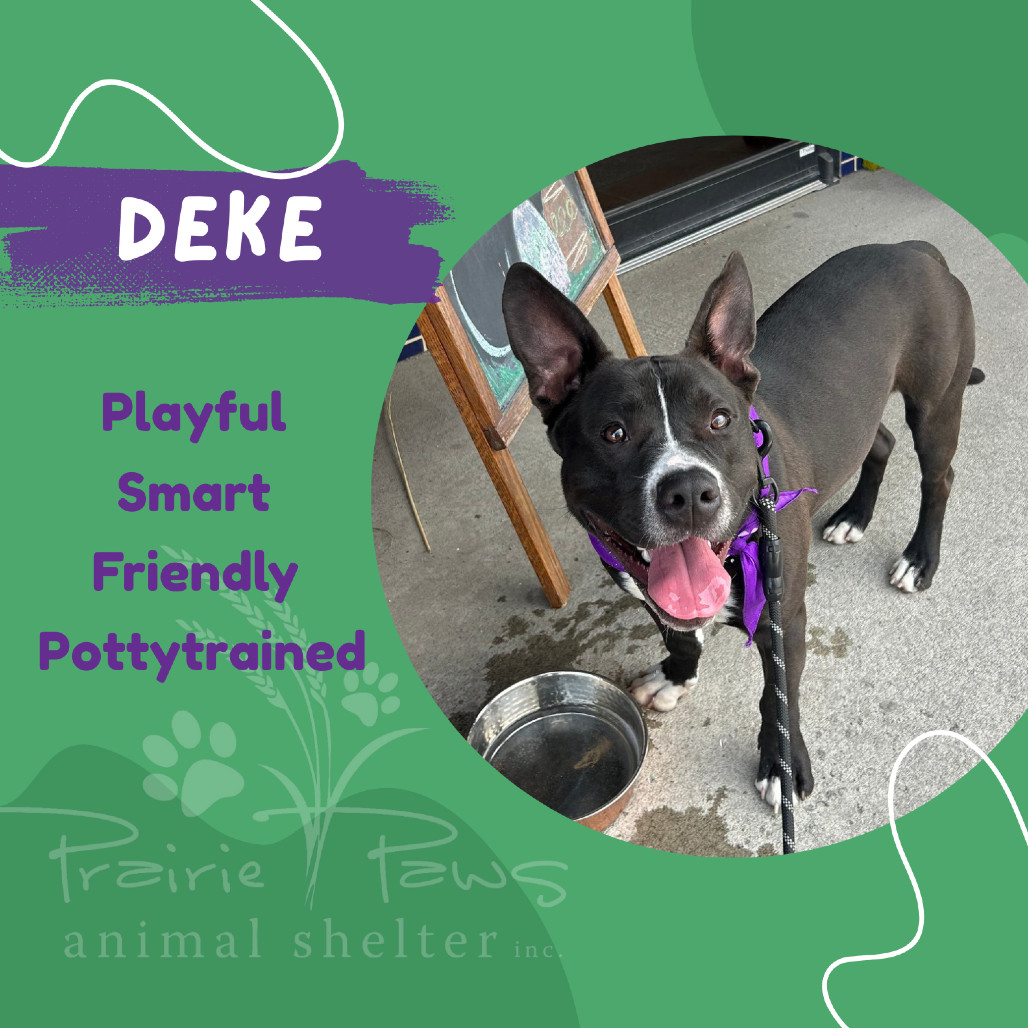 Deke