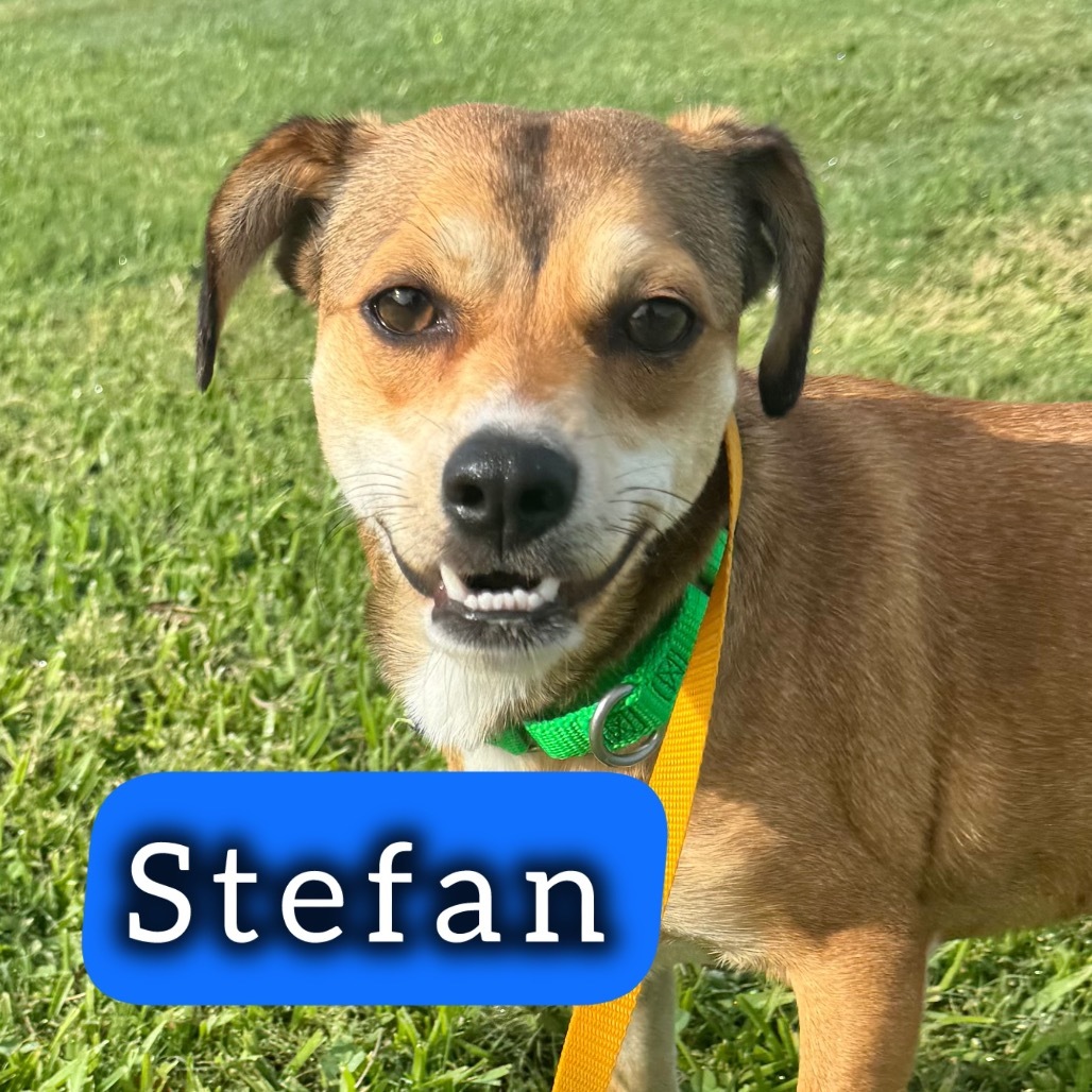 Stefan