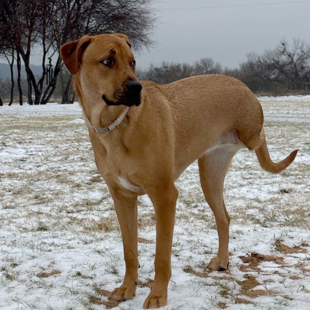 Willow (Annie/Daisy Bell)