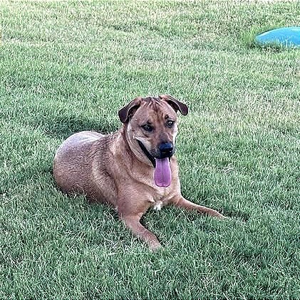 Willow (Annie/Daisy Bell)